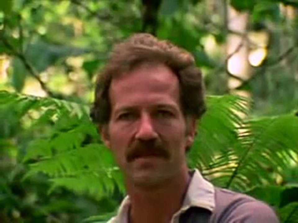 Herzog on the obscenity of the jungle