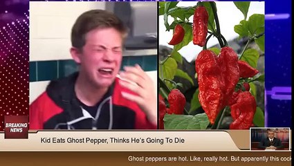 Kid Loses His Shit After Eating Ghost Pepper!