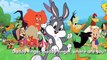 Looney Tunes Finger Family Baby Looney Tunes Cartoon Animation Nursery rhymes