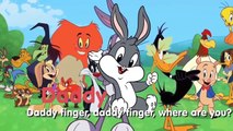 Looney Tunes Finger Family Baby Looney Tunes Cartoon Animation Nursery rhymes
