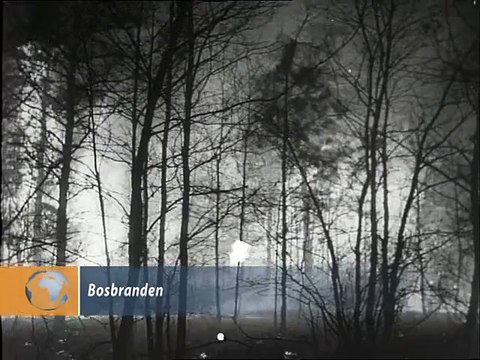 Bosbranden - 1951