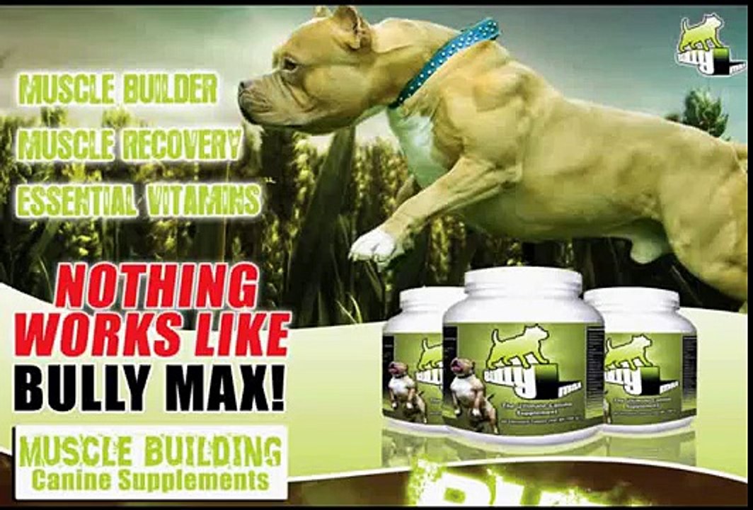 bully supplements