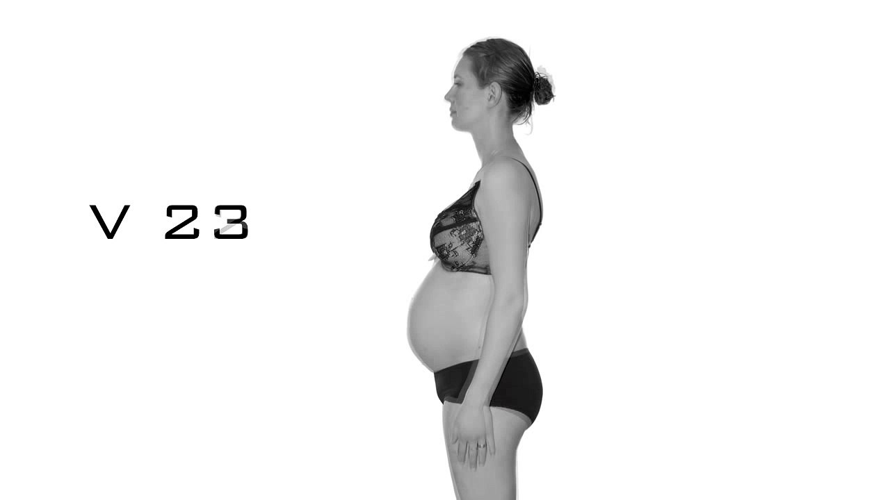 Hanna pregnancy animation (Time Lapse)
