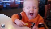 Babies Eating Lemons for First Time Compilation!