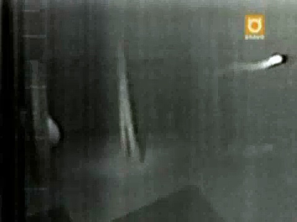 What is it?