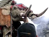 L'éléphant de Royal de Luxe