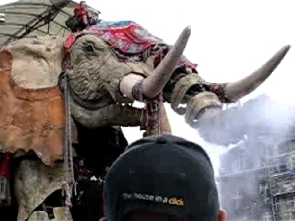 L'éléphant de Royal de Luxe