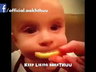 Cute Baby eating Lemon