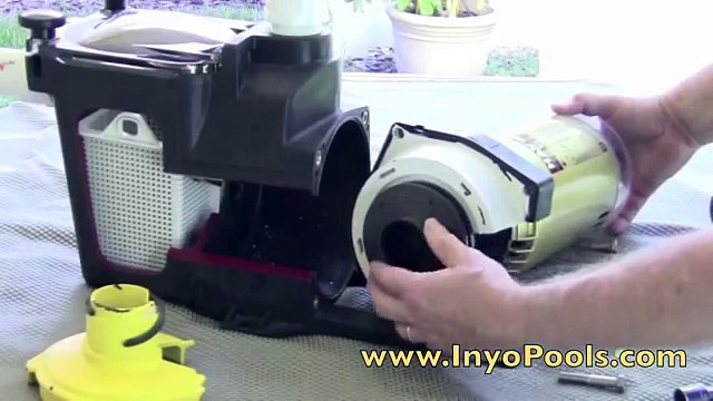 Inyopools.com - How to replace a pool pump impeller