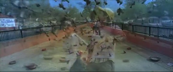 Leja Leja Teray Sang Piya - Teree Sang Full Hd Song