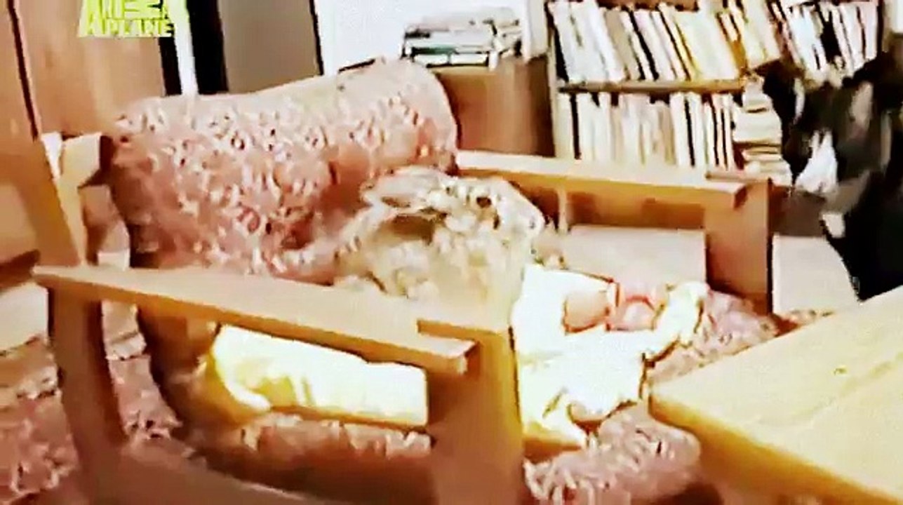 The Planet's Funniest Animals - The Stork Brings the Baby [HUNGARIAN DUB] HD