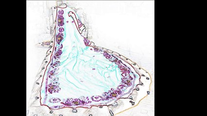 Jean-Louis Murat - L'hermine (live) 5 avril 2008