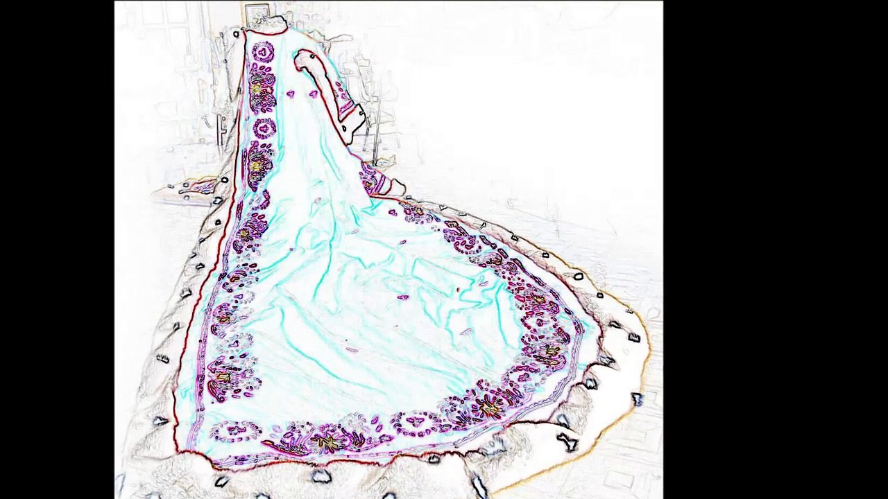 Jean-Louis Murat - L'hermine (live) 5 avril 2008