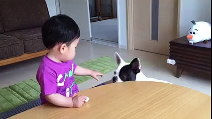 Dam dam ale nie wszystko