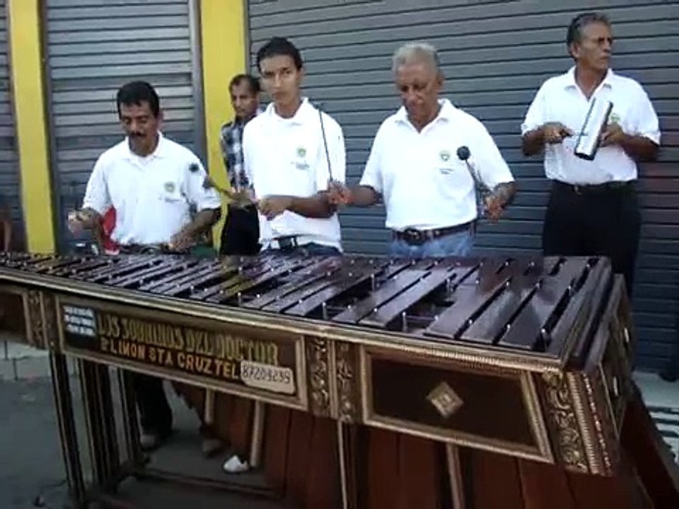El zancudo loco.... en marimba