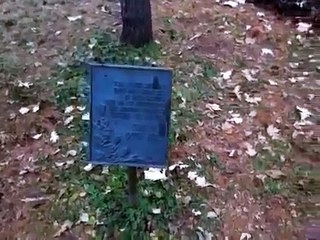 The Daily Woo - Day 154 - 12/2/2012 - RIP Jim Varney