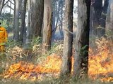 Australian Fires Black Saturday Victoria