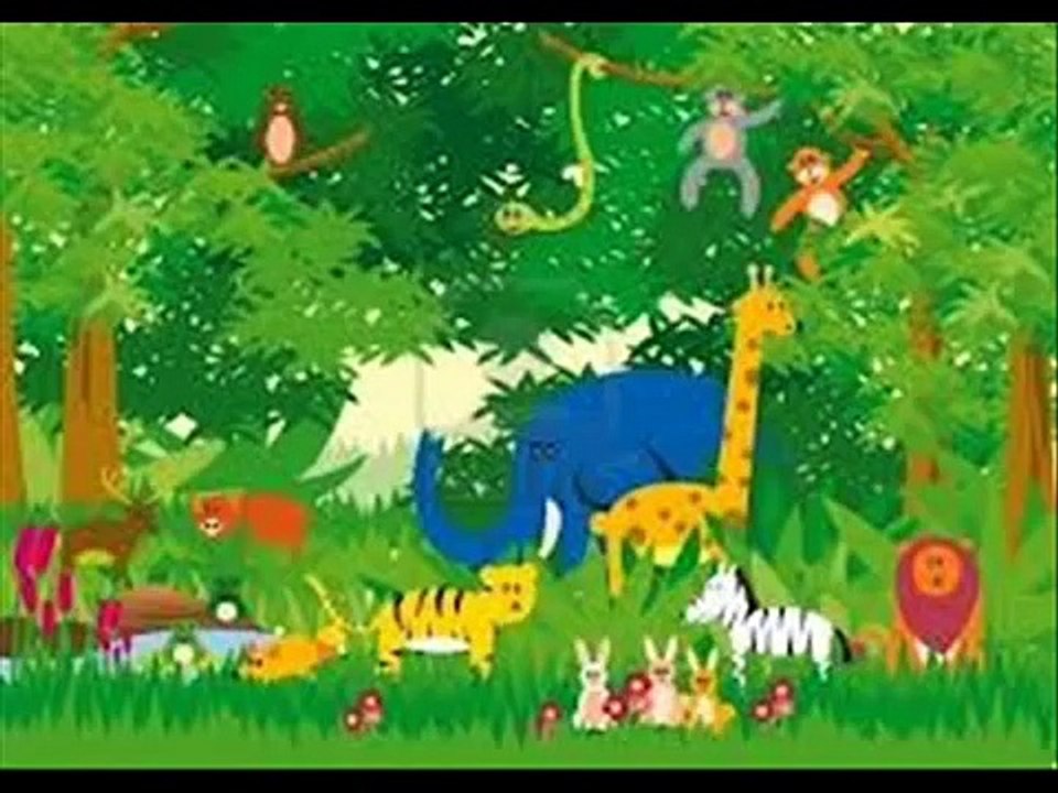 ANIMALES TERRESTRES