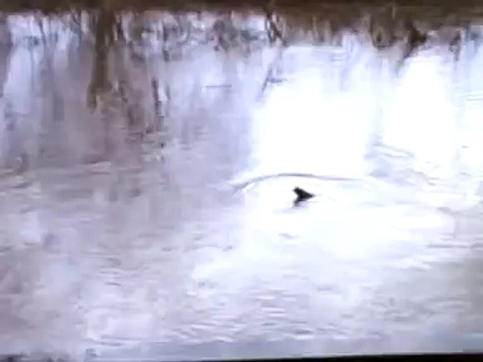 water demon caught on camera