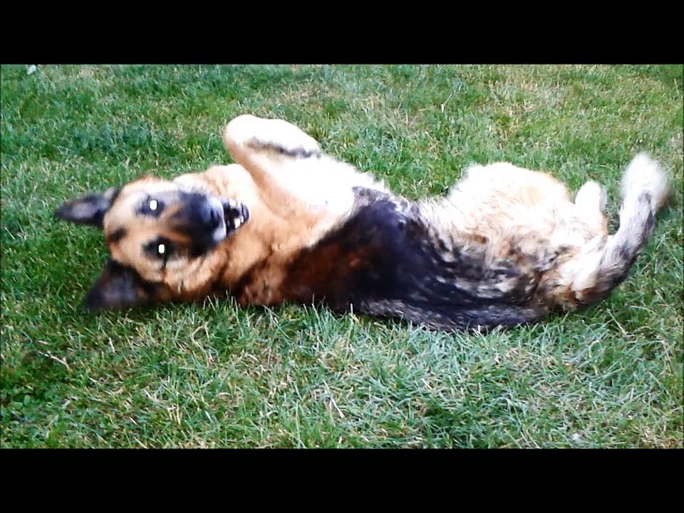 Belle à la maison 3ème semaine