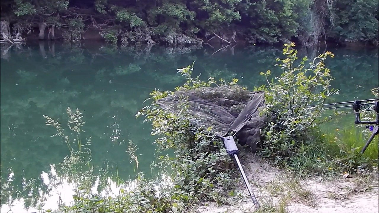 Carp addict PSB