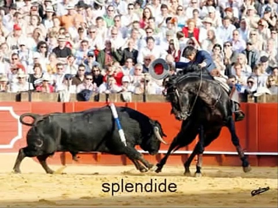 diego ventura