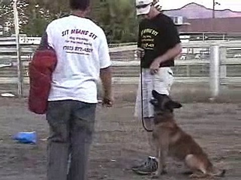 Police Dog Training Video - K9 dog training