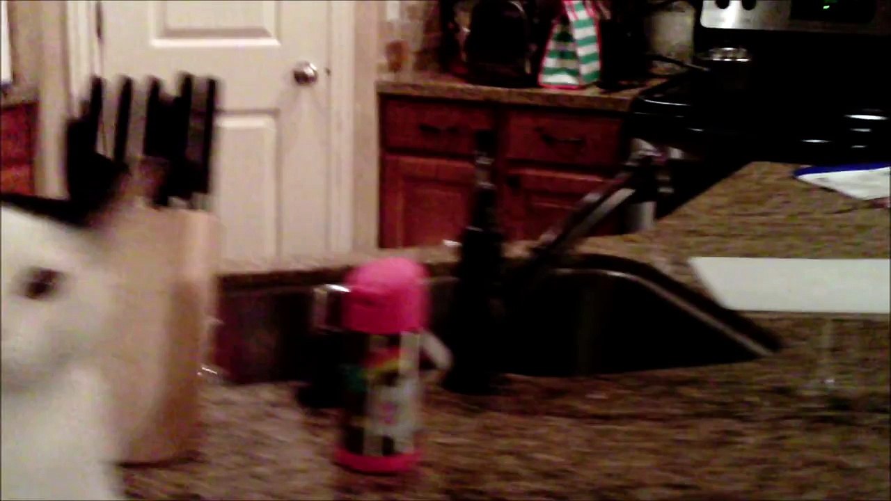 Annoyed cat takes down drone