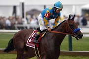 Belmont Stakes preview: American Pharoah runs for Triple Crown