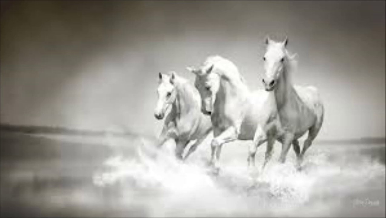Hagalaz Runedance - Dreaming Wild White Horses