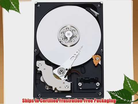 Western Digital 250 GB Caviar Blue SATA 3 Gb/s 7200 RPM 16 MB Cache Bulk/OEM Desktop Hard Drive