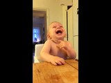 Baby laughing hysterically at coconut