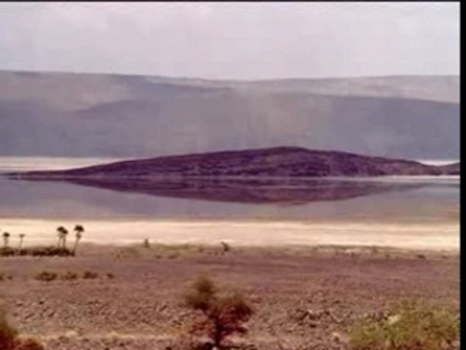 Djibouti tfai
