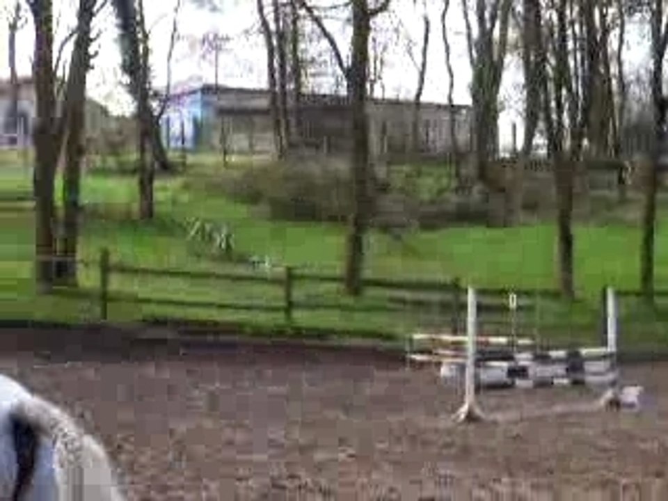 Mon Fanfan et moi au concours du 25/03/