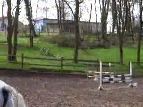 Mon Fanfan et moi au concours du 25/03/