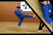 (120)Gongkwon Yusul Jwasul - Samwonbon forms of four(Korean martial arts)