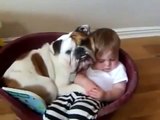 Baby Funny Dog Videos Funny Videos Baby Laughing #BE6