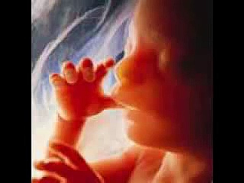 Willingly Ignorant - Babies are Expendable