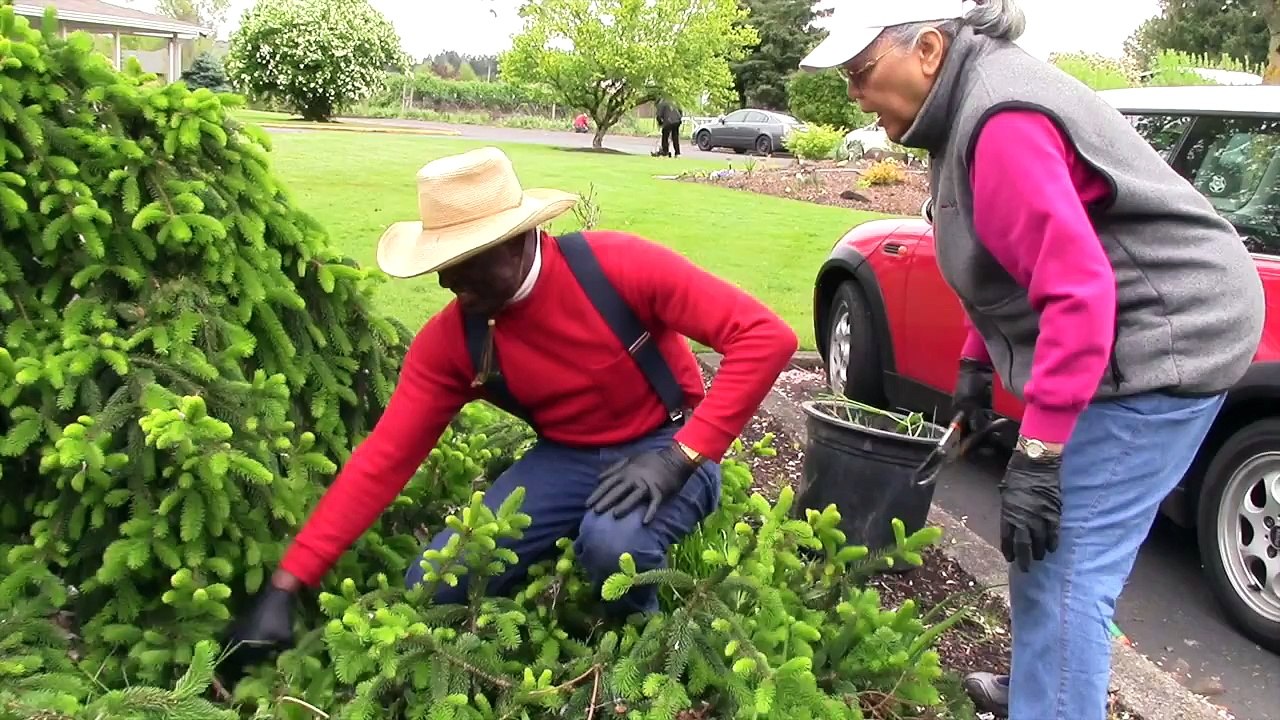 Church Work Bee April 2015
