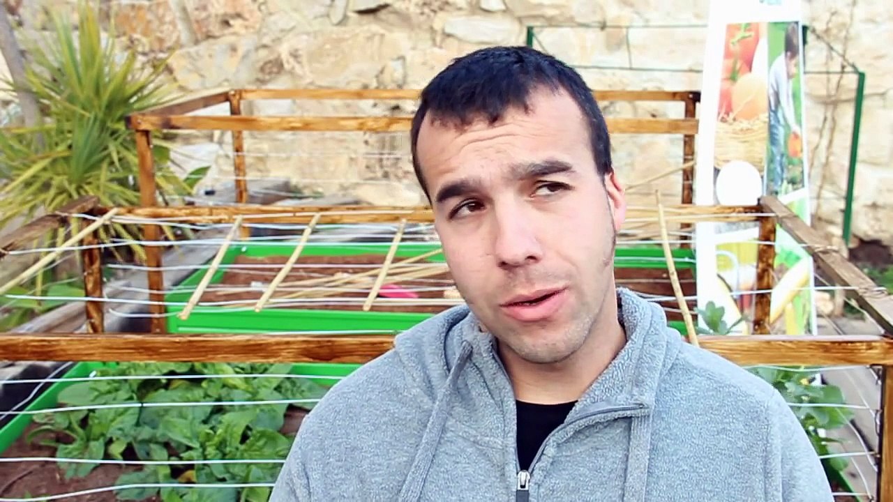 Iniciarse Al Huerto Urbano | Huertos Caseros | Creación de un huerto Urbano