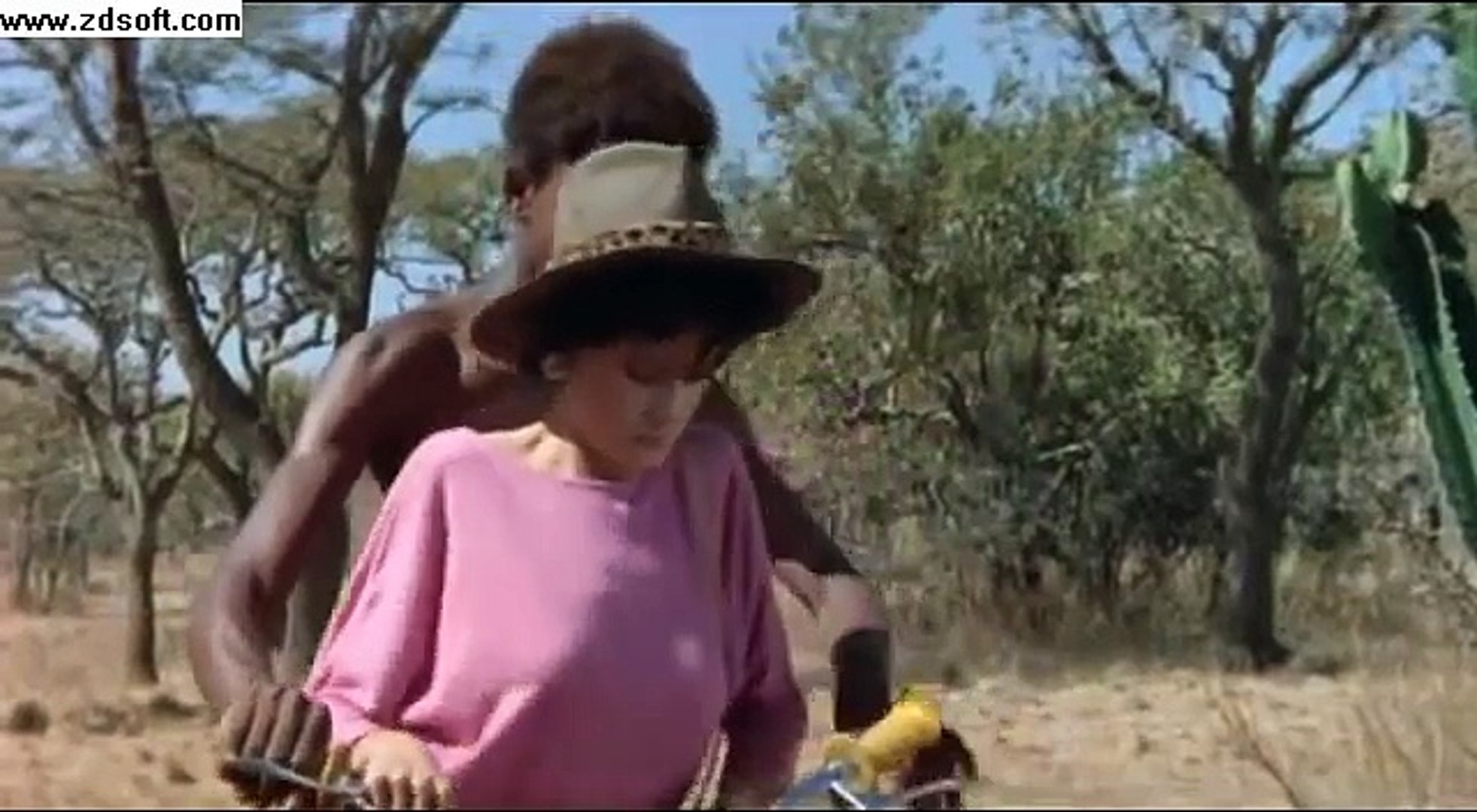 Os deuses devem estar loucos II - Africano ajudando a moça