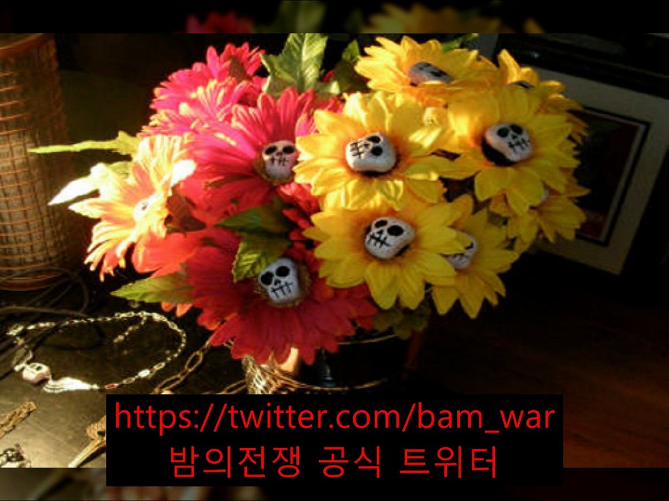 알씨동영상2015-06-02 (69)