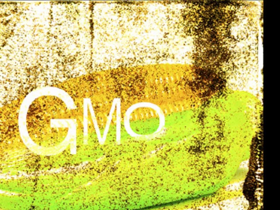 No GMO by The Electric Trunk