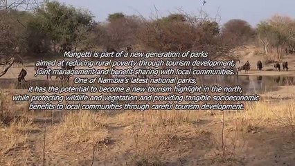 The new Mangetti Nationalpark Namibia [Afrika]