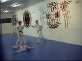 Karate Kyokushinkai: Dureza tradicional
