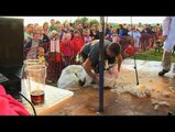 Blood, Sweat & Shears - The Gritty reality of Sheep Shearing (Trailer for DVD)