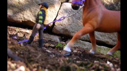 Some Schleich realitic pics!