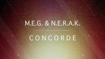 M.E.G. & N.E.R.A.K. vs SHM & Laidback Luke - Leave The Concorde Behind (Raph Bootleg)