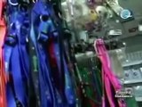 Georgette's Closet on QTV's Go Negosyo - Dog & Cat Boutique and Grooming