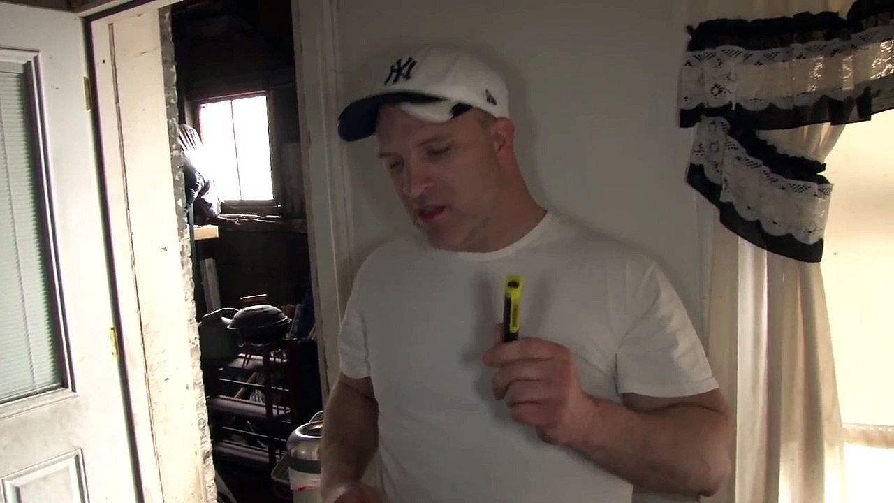 Dog Whisperer -Why Laser Pointers Are Bad for Dogs - Laser Pointers and Military Dogs